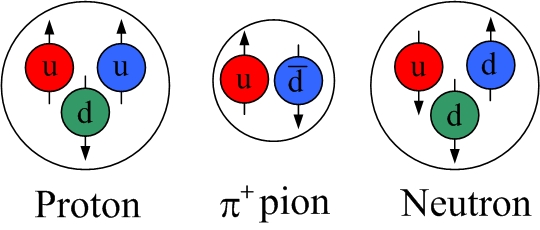Images and Concepts for hadrons nuclear particle