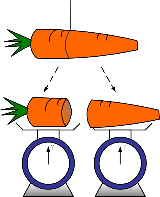 Images and Concepts for carrot