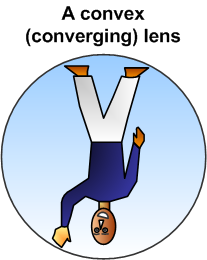 Images and Concepts for convex up side down